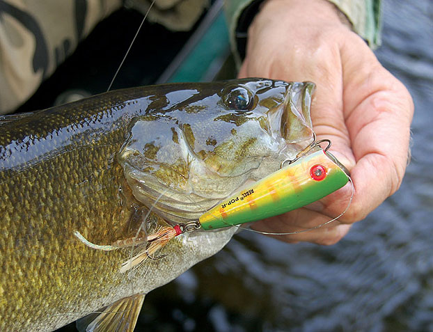 Canada Smallmouth Bass Fishing